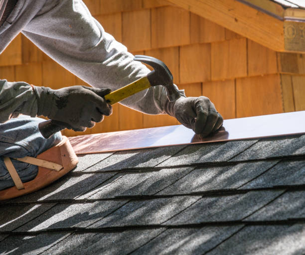 Best Roof Gutter Cleaning  in Palos Park, IL